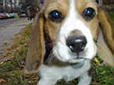 DSC02430.JPG