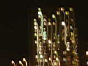 DSC03856.JPG