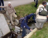 Pekonn umlho potoka na cest k centru.